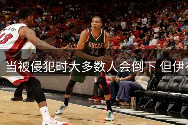 当被侵犯时大多数人会倒下 但伊布只会俯视对手